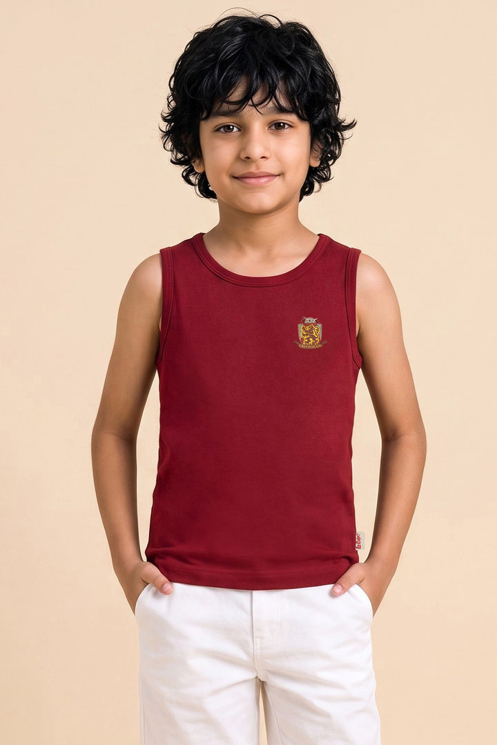 Lee Cooper Boys Harry Potter Vest (Pack of 2) - Multicolor — image 8